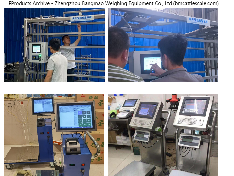 Zhichun Solves Ranch Weighing Dilemma